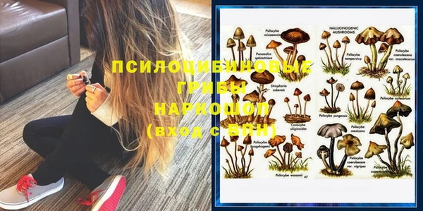 таблы Алексеевка
