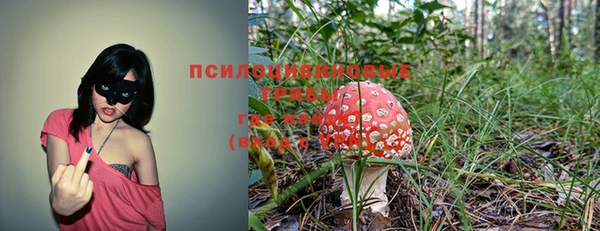 марки lsd Алзамай