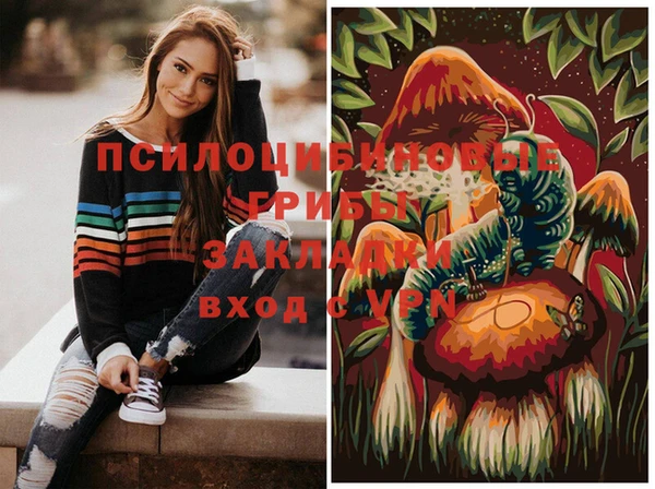ПСИЛОЦИБИНОВЫЕ ГРИБЫ Семикаракорск