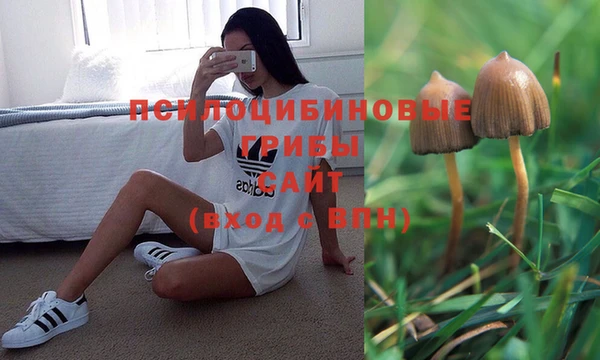 марки lsd Алзамай