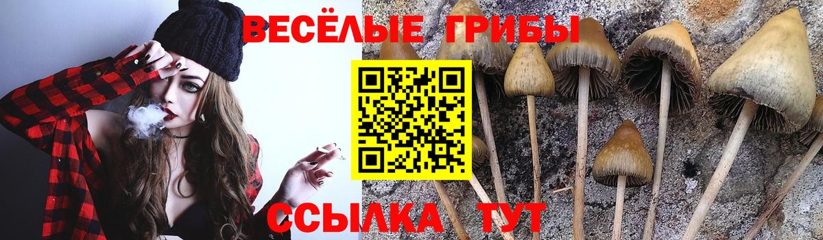 Псилоцибиновые грибы мицелий  Галлюциногенные грибы Psilocybine cubensis  Большой Камень  Вход с VPN 