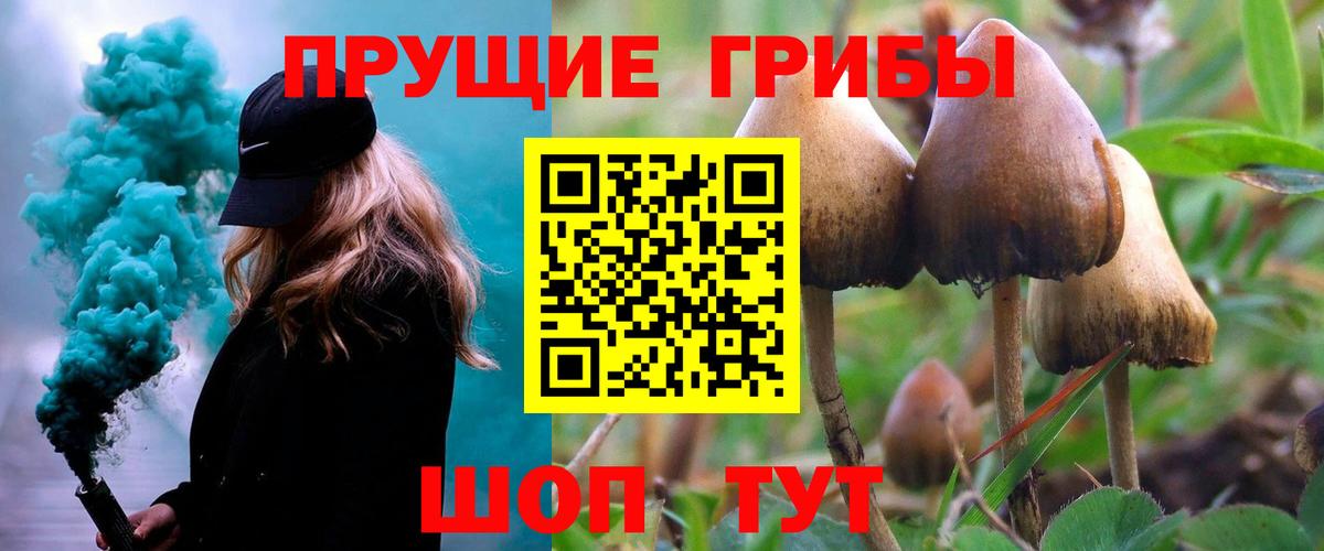 Галлюциногенные грибы ЛСД Большой Камень